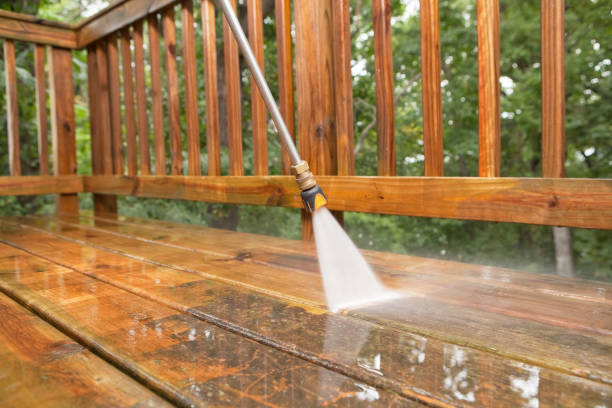 Best Dumpster Area Cleaning  in Salem, NJ
